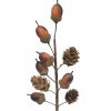 12" Acorn Pick by Ashland®
