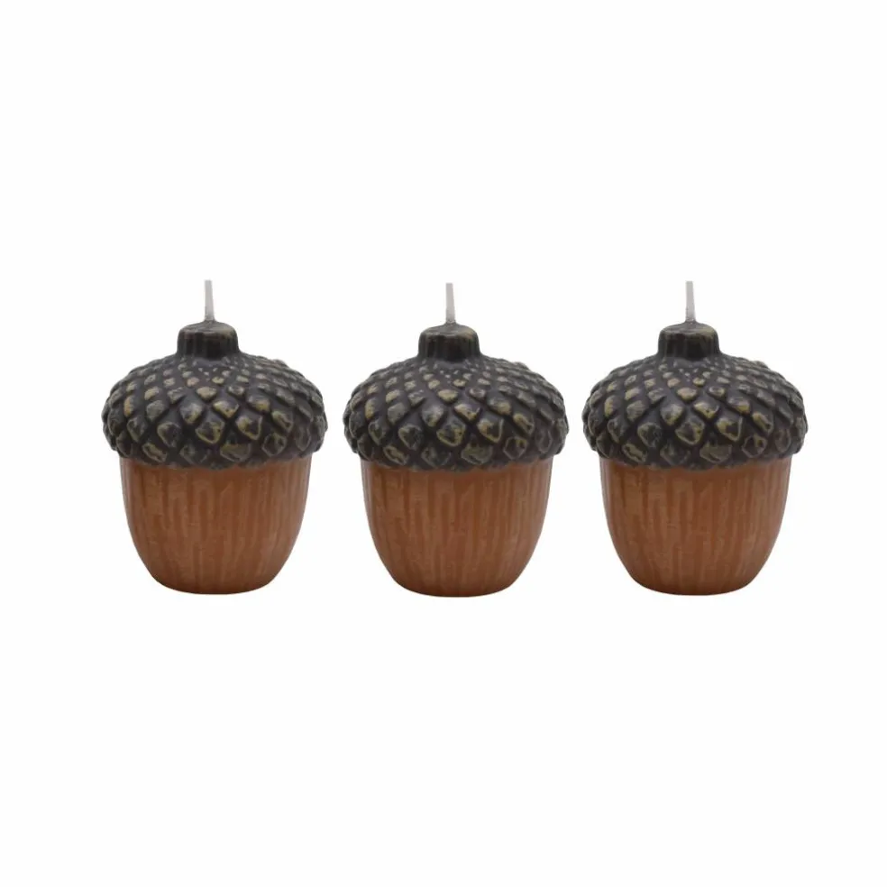 Acorn Unscented Votive Candles, 3ct. by Ashland®