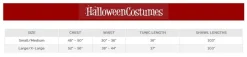 Adult Party Toga Costume