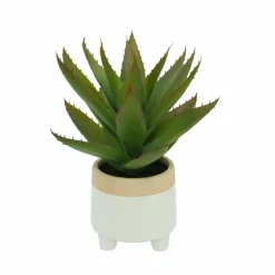 12" Aloe Vera in Ceramic Pot by Ashland®