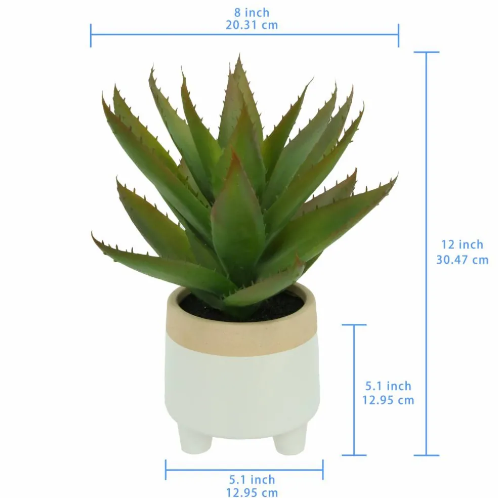 12" Aloe Vera in Ceramic Pot by Ashland®