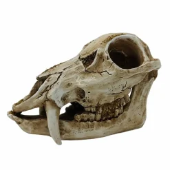 8.75" Animal Skull Tabletop Décor by Ashland®