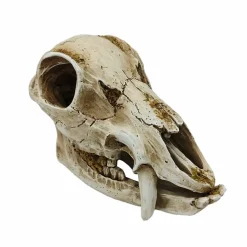 8.75" Animal Skull Tabletop Décor by Ashland®