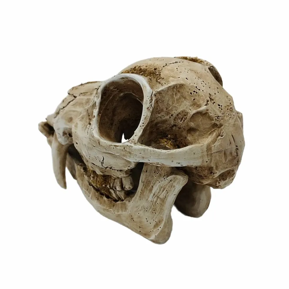 8.75" Animal Skull Tabletop Décor by Ashland®