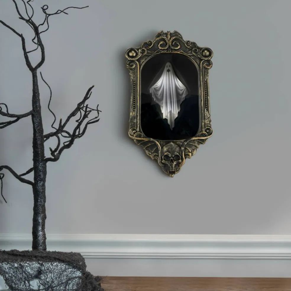 14" Animated Disappearing Ghost Frame by Ashland®