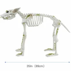 35" Animated Wolf Skeleton by Ashland®