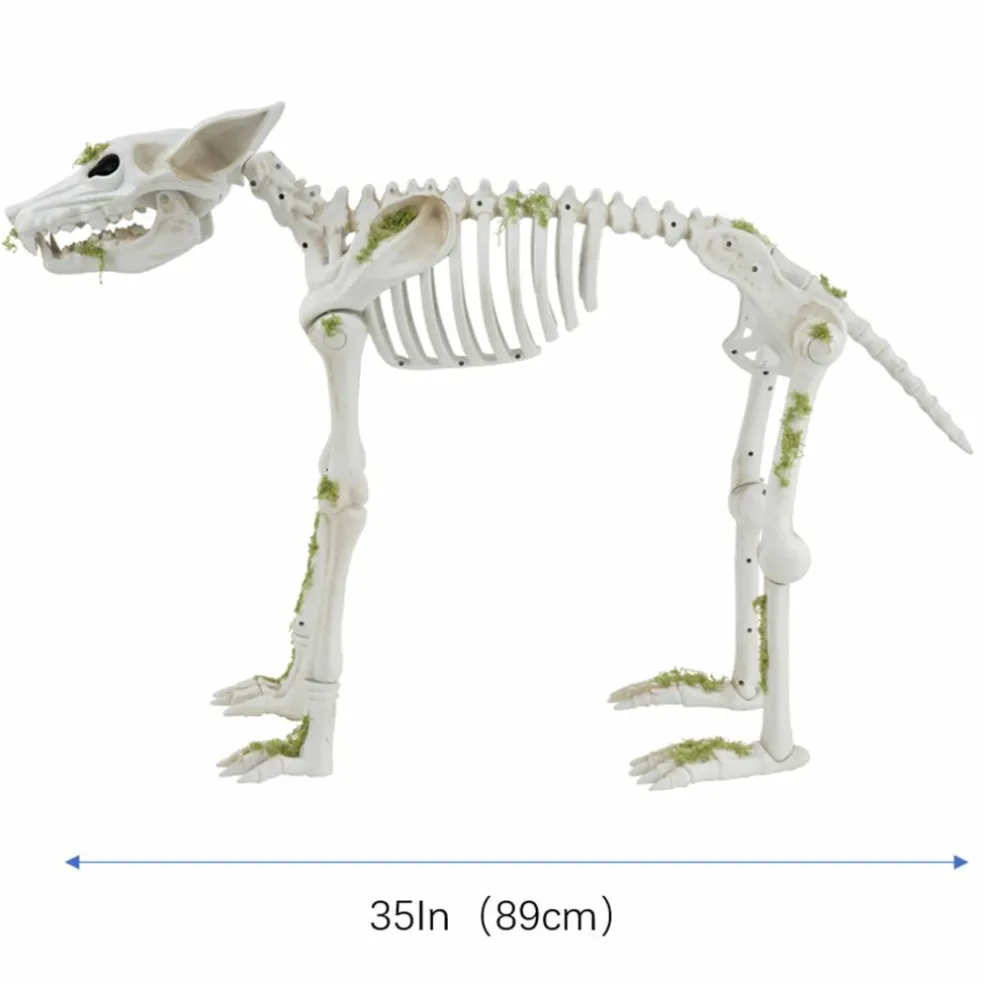 35" Animated Wolf Skeleton by Ashland®