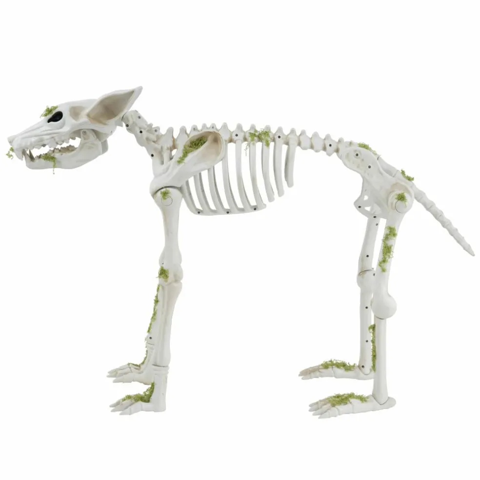 35" Animated Wolf Skeleton by Ashland®