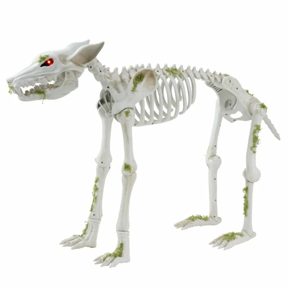 35" Animated Wolf Skeleton by Ashland®