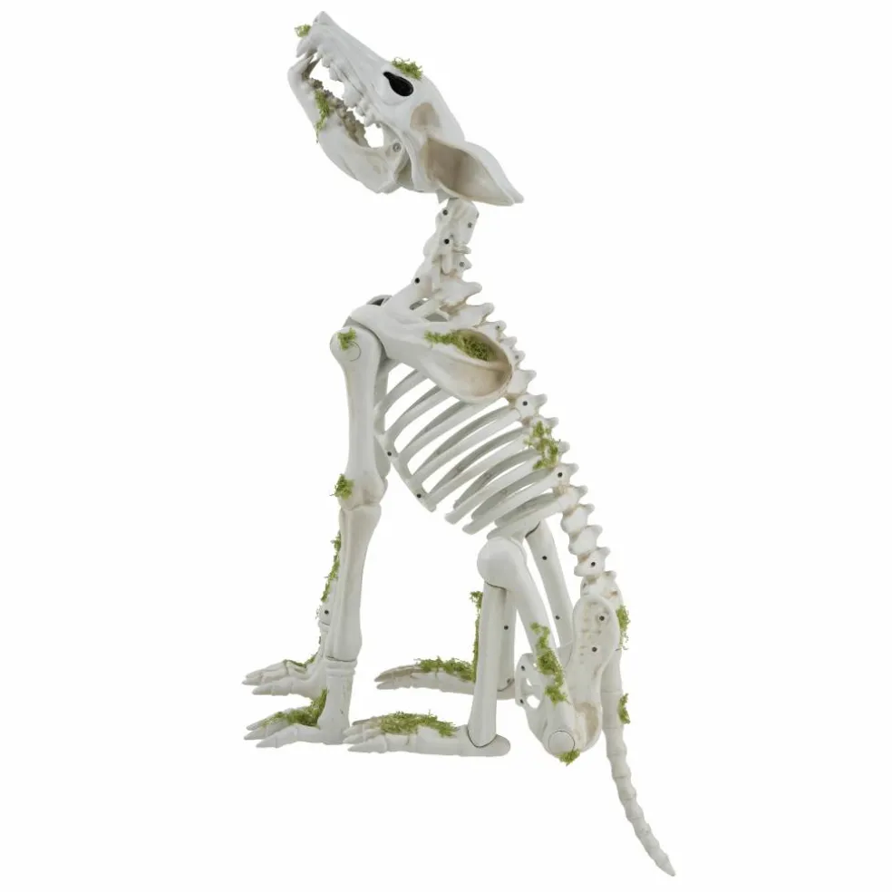 35" Animated Wolf Skeleton by Ashland®