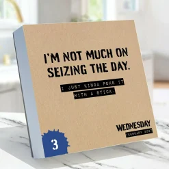 2027 Anti Affirmations/Daily Sarcasm Daily Desktop Calendar