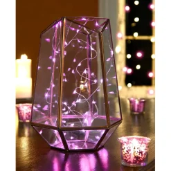 Apothecary & Companyâ„¢ Decorative String Lights, Pink