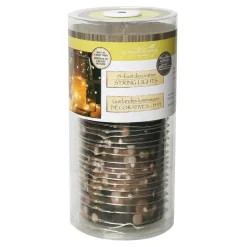 Apothecary & Company™ Silver Decorative Micro LED String Lights, 15ft