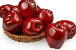 Artificial Apples - 6 Pcs