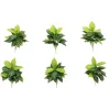 19" Artificial Dieffenbachia Plants, 6ct.
