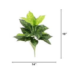 19