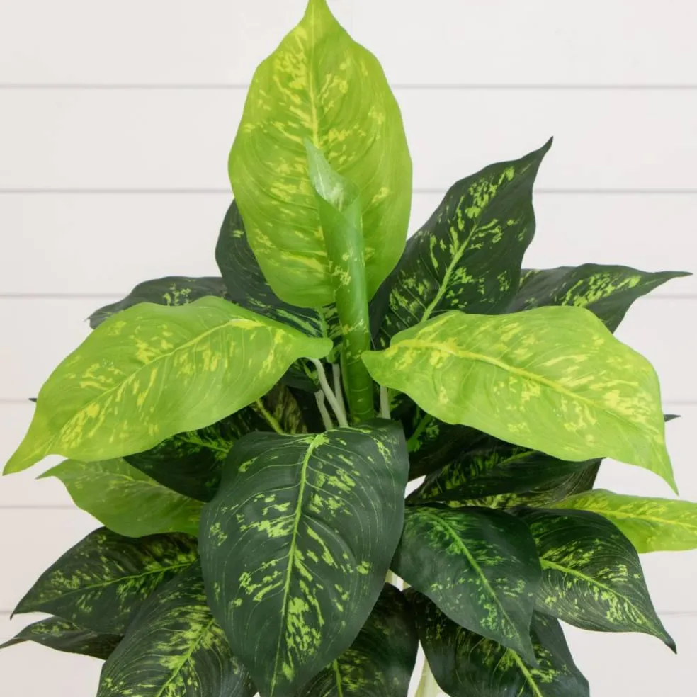 19" Artificial Dieffenbachia Plants, 6ct.