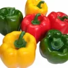 Artificial Fake Veggie 6Pcs (Each Color 2Pcs)