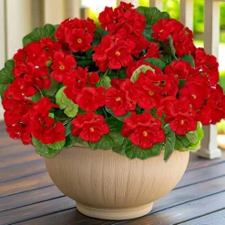 Artificial Geraniums Flowers for Outdoors Summer Derby Day Decoration, 4 Bundles Fake Flowers Silk Red Flowers UV Resistant No Fade Faux Plants for Gardens Planter Patio Indoor Cemetery Decor