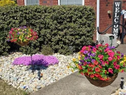Artificial Hanging Flower Basket with Daisy Flowers and Eucalyptus Leaves, Faux Plants with Coconut Liner Chain Basket, UV Resistant Outdoor Porch Decor for Summer Autumn Home Decoration