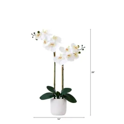 26" Artificial Real Touch White Double Orchid Phalaenopsis with Decorative Vase