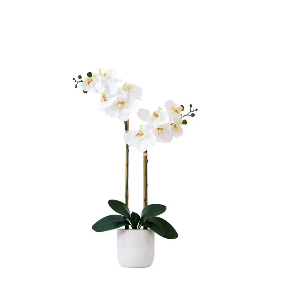 26" Artificial Real Touch White Double Orchid Phalaenopsis with Decorative Vase