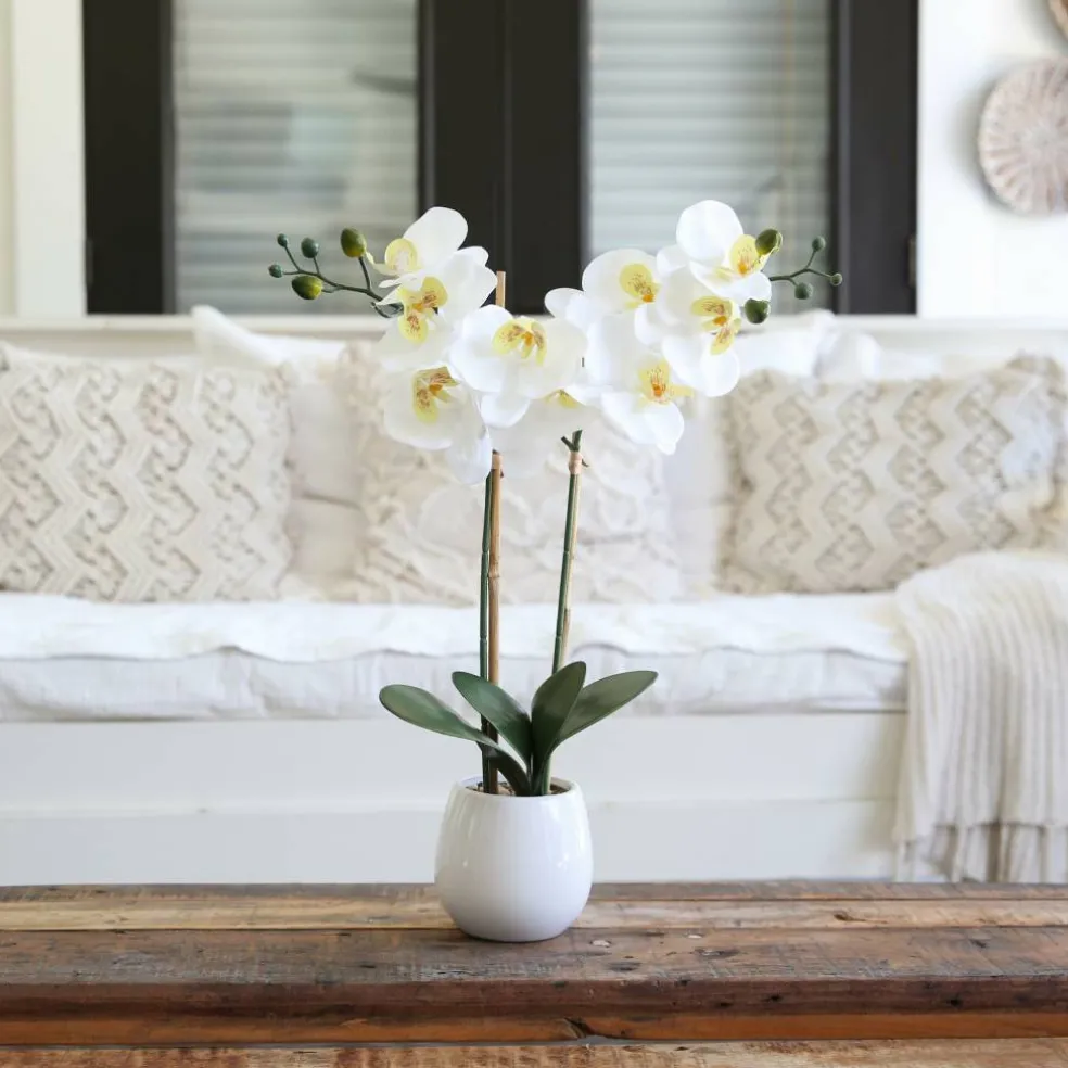 26" Artificial Real Touch White Double Orchid Phalaenopsis with Decorative Vase