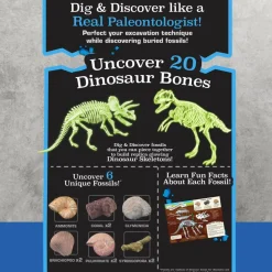 ArtSkills® Epic Lab Dinosaur Fossil Dig Kit with Glow in the Dark Dino Skeletons