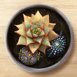 ArtSkills® Rock Painting Kit for Kids