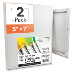 ArtSkills® Stretched Painting Canvas, 2ct.