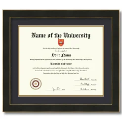 ArtToFrames 14x17 inch Diploma Frame - Framed with Black and Gold Mats, Comes with Regular Acrylic and Sawtooth Hanger for Wall Hanging (D-14x17)