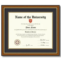 ArtToFrames 14x17 inch Diploma Frame - Framed with Black and Gold Mats, Comes with Regular Acrylic and Sawtooth Hanger for Wall Hanging (D-14x17)