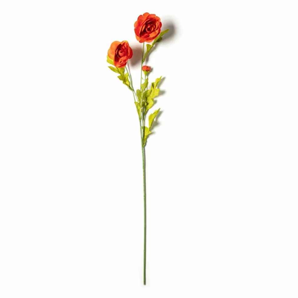 Ashland® Ranunculus Spray