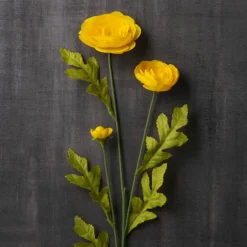 Ashland® Ranunculus Spray