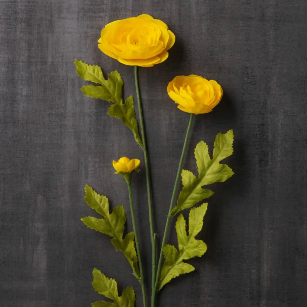 Ashland® Ranunculus Spray