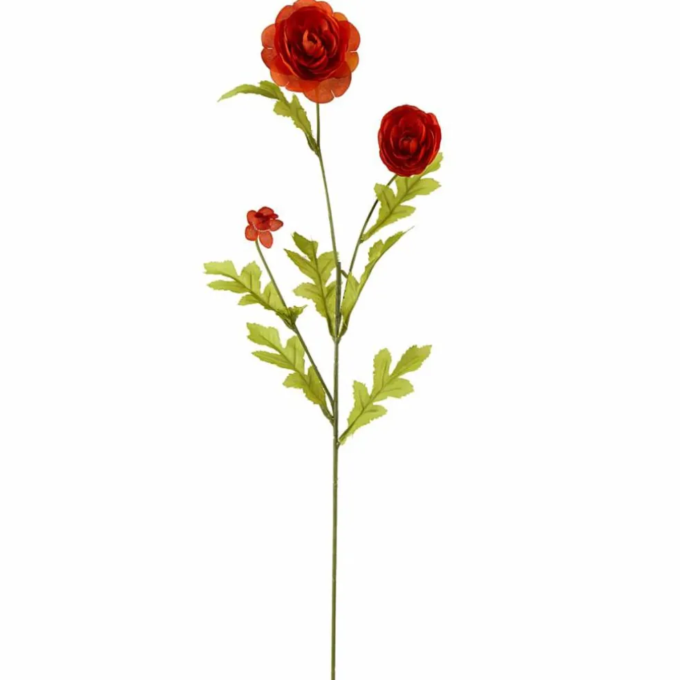 Ashland® Ranunculus Spray