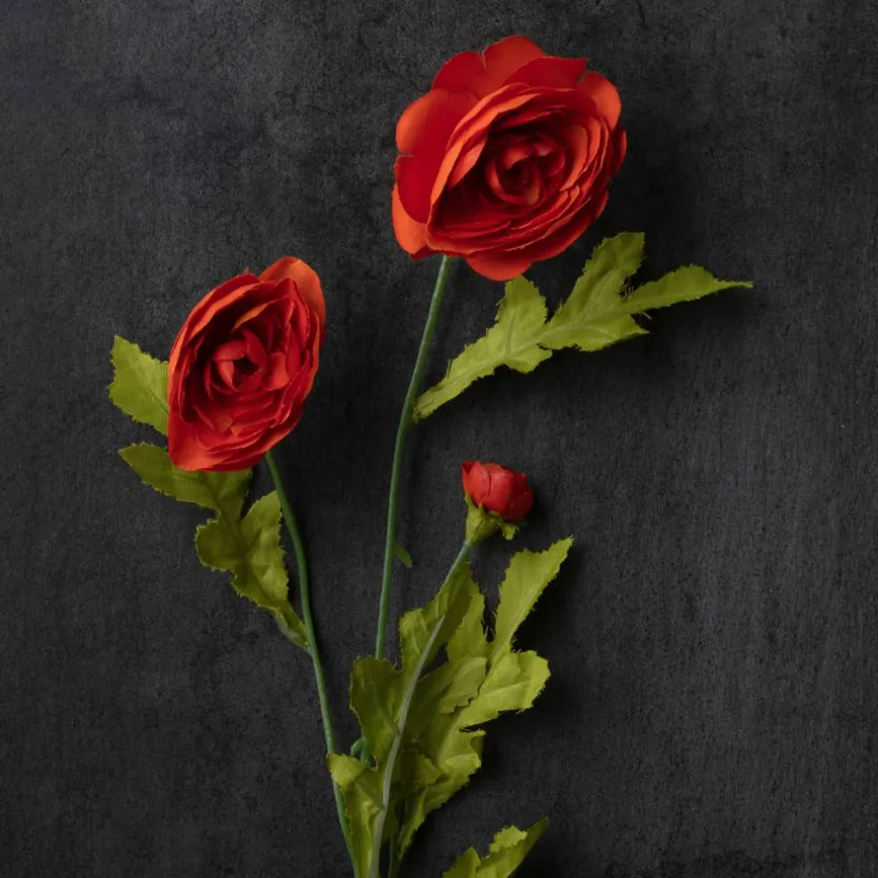 Ashland® Ranunculus Spray