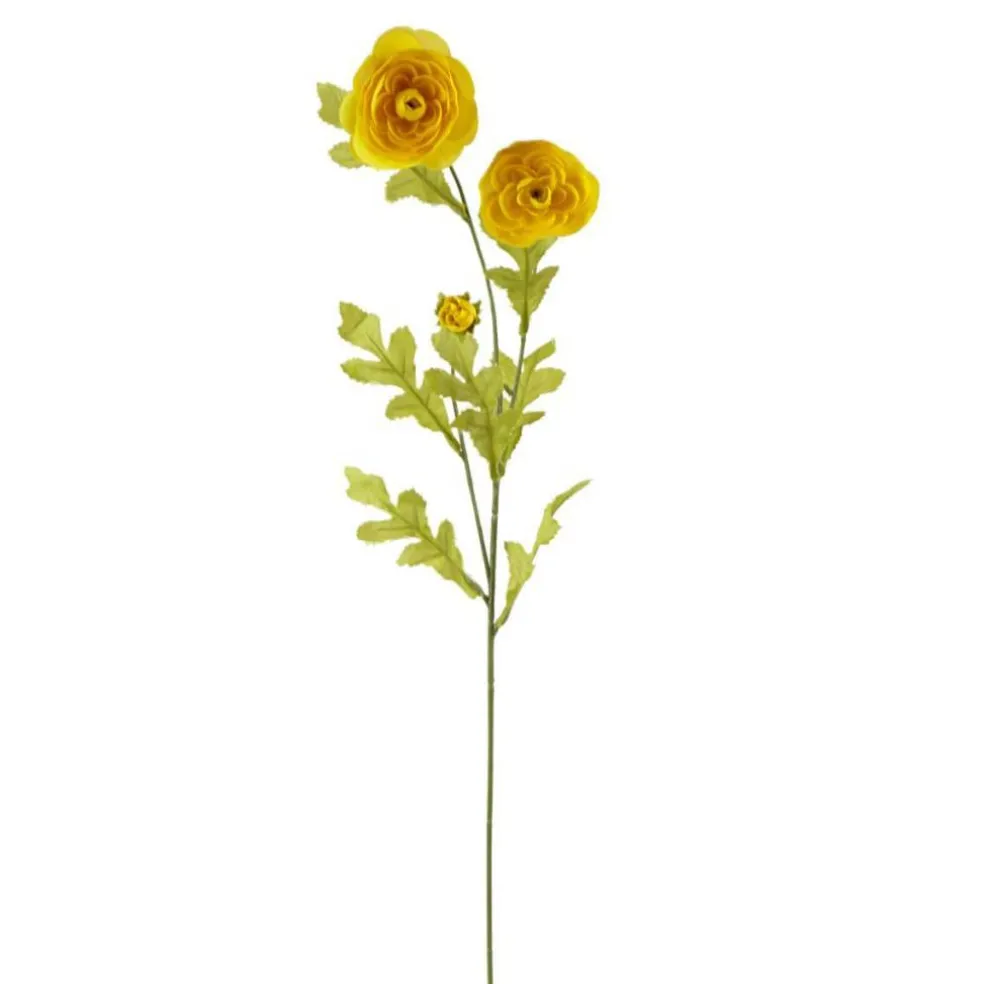 Ashland® Ranunculus Spray