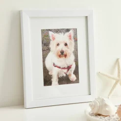 Aspect White Narrow Frame With Mat by Studio Décor®