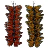 Assorted 2.5" Feather Butterflies, 10ct. by Ashland®