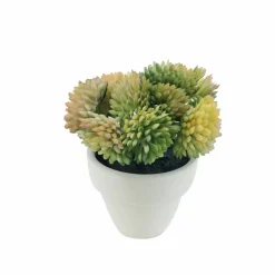 Assorted Micro Premade Succulent, 1pc. by Ashland®