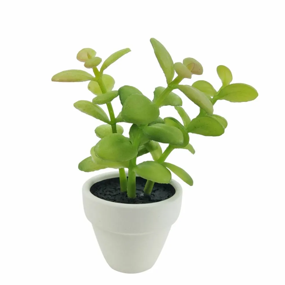 Assorted Micro Premade Succulent, 1pc. by Ashland®