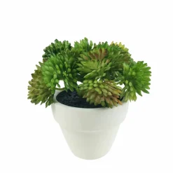 Assorted Micro Premade Succulent, 1pc. by Ashland®