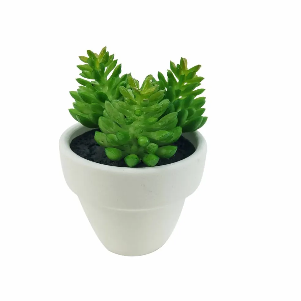Assorted Micro Premade Succulent, 1pc. by Ashland®