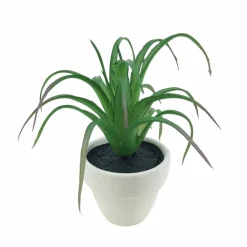 Assorted Micro Premade Succulent, 1pc. by Ashland®