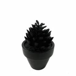 Assorted Mini Black Potted Succulent, 1pc. by Ashland®