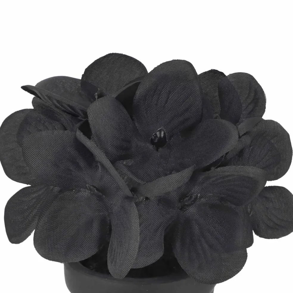 Assorted Mini Black & Wine Premade Floral Accent, 1pc. by Ashland®