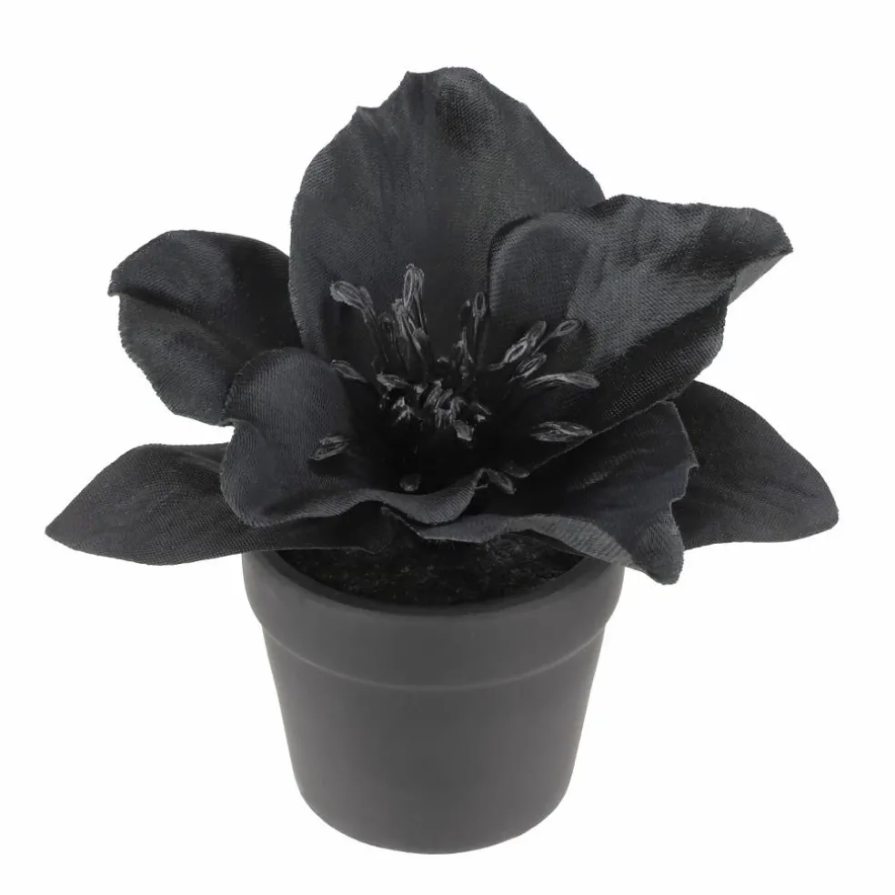 Assorted Mini Black & Wine Premade Floral Accent, 1pc. by Ashland®