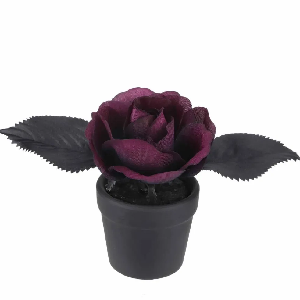 Assorted Mini Black & Wine Premade Floral Accent, 1pc. by Ashland®
