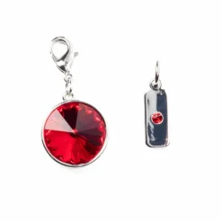 Austrian Crystal Birth Month Charm Set by Bead Landing™
